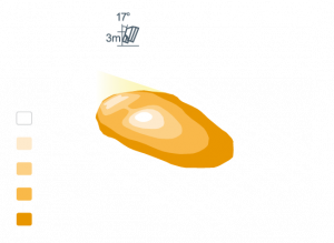 n25_model.png