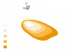 n3101_model.png